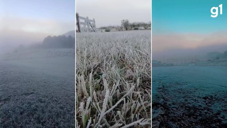 Rio Grande do Sul enfrenta domingo gelado com geada e marcas de até -3,5°C