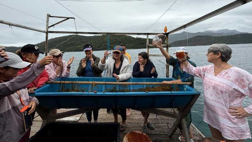 Turistas trocam roteiros tradicionais por viagens guiadas por chefs de cozinha
